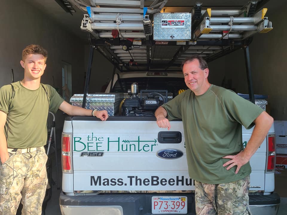 Massachusetts Bee Control Service | The Bee Hunter